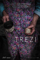 Trezi, plakat v slovenščini - 