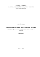 Od ljudskega pripovednega motiva do avtorske predstave - digitalna kopija mag naloge - 