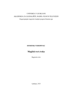 Magični svet zvoka - digitalna kopija - 