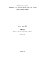 Schengen, magistrska naloga - 
