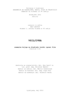 Snemalna knjiga za kratki igrani film Vsiljivka - 