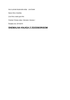 Snemalna knjiga za kratki igrani film Ameriška - 