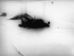 Kozmologija - OHO - Avtor happeninga: David Nez.
Moderna galerija Ljubljana, 1969