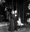 Hedda Gabler - Zupančič, Bačko - 
